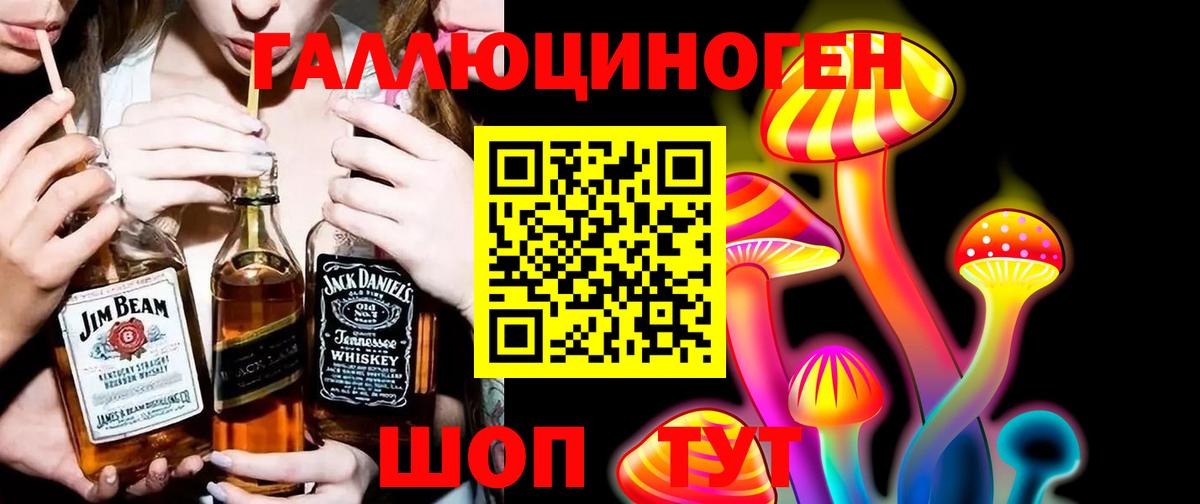 Галлюциногенные грибы Psilocybe  Вход с VPN  Гусь-Хрустальный  Псилоцибиновые грибы GOLDEN TEACHER 