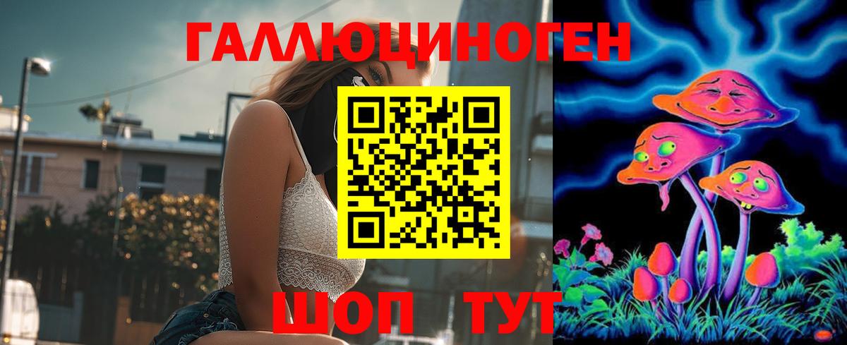 Псилоцибиновые грибы GOLDEN TEACHER Гусь-Хрустальный